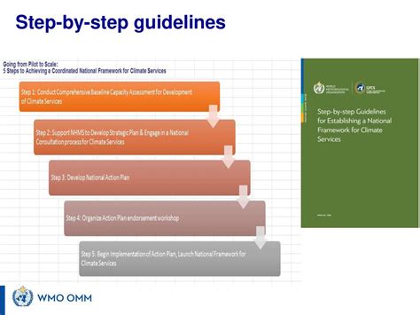 Step by Step Guidelines .